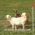 gado, um, cavalo, fazenda, cerca, com, dobradiça campo, comum, cerca, para, fazenda